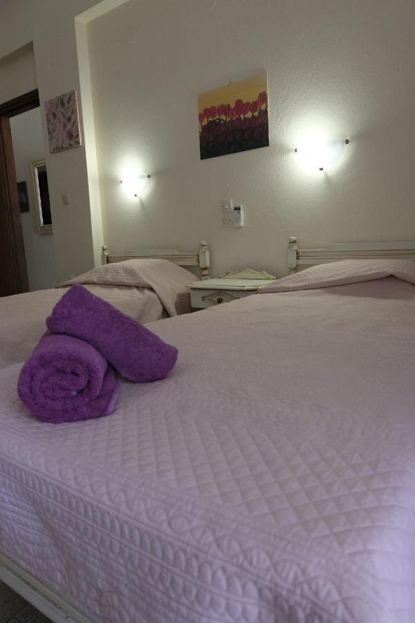 Taxiarchis Apartments Città di Skiathos Esterno foto