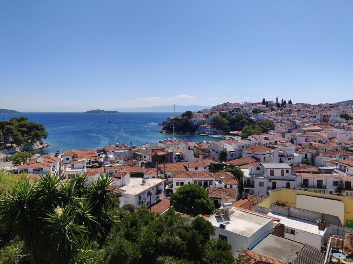 Taxiarchis Apartments Città di Skiathos Esterno foto