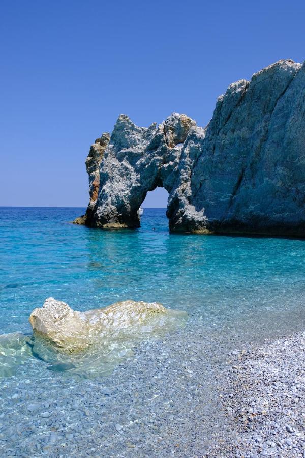 Taxiarchis Apartments Città di Skiathos Esterno foto