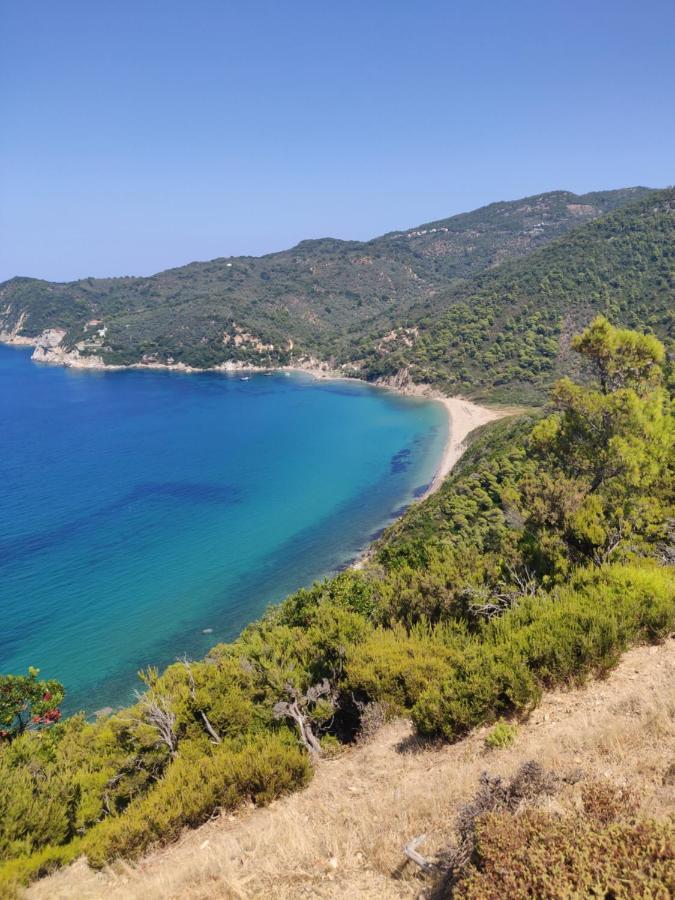 Taxiarchis Apartments Città di Skiathos Esterno foto