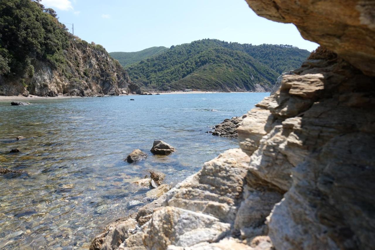 Taxiarchis Apartments Città di Skiathos Esterno foto